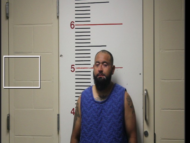 ACEVEDO, DANIEL ALEJANDRO booking photo