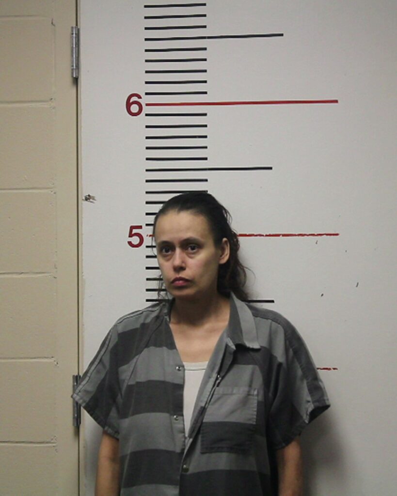 RICHARDSON, LINDA ROSA arrest record in Anderson County, Texas RICHARDSON, LINDA ROSA arrested in Anderson County, Texas mugshot