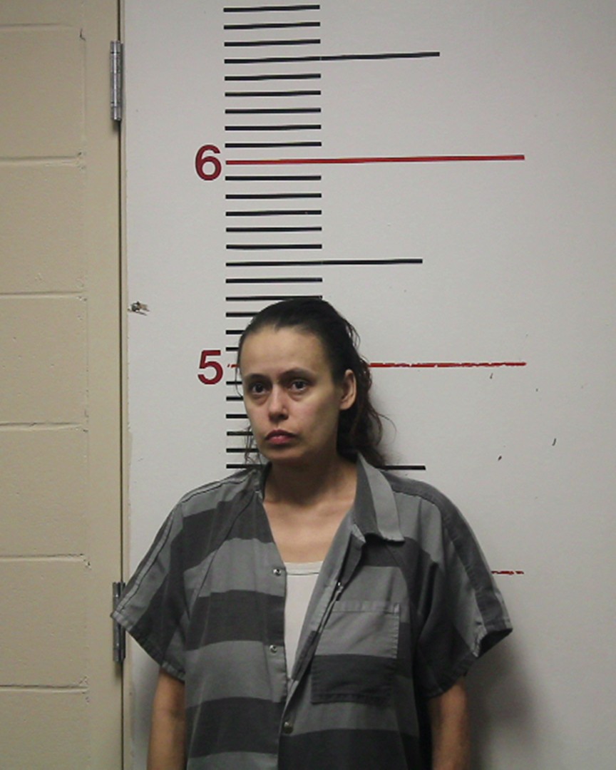 RICHARDSON, LINDA ROSA booking photo