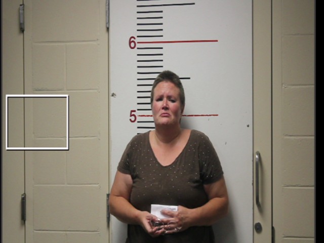 LANE, CHRISTINA SUE booking photo