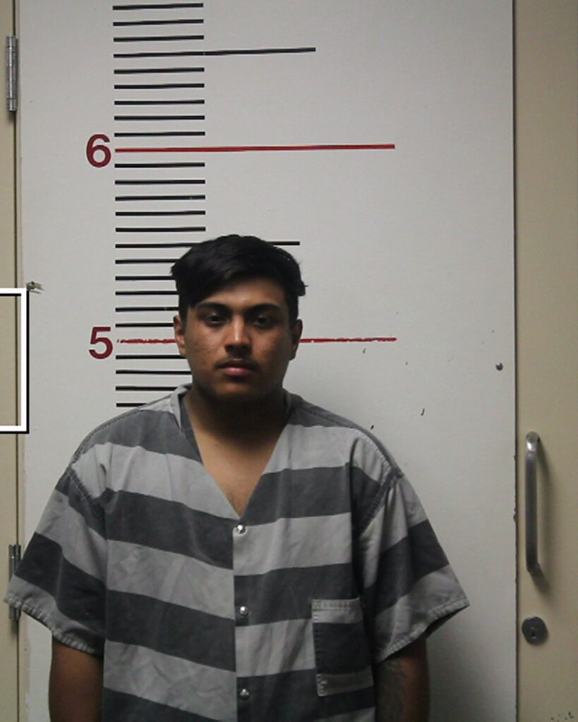 REYES, JAIRO CALDOVINOS arrested in Anderson County, Texas mugshot