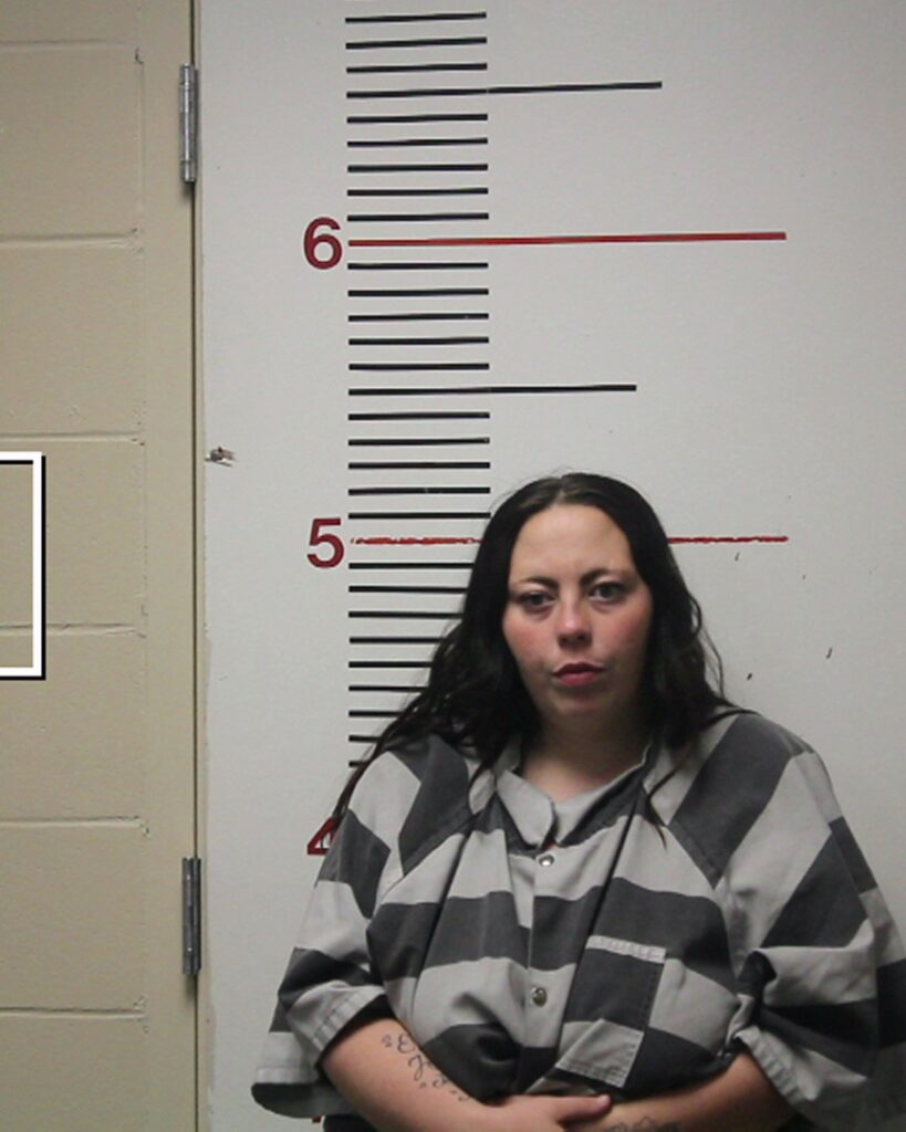 SHIPP, BRITTANY BEATRICE arrest record in Anderson County, Texas SHIPP, BRITTANY BEATRICE arrested in Anderson County, Texas mugshot