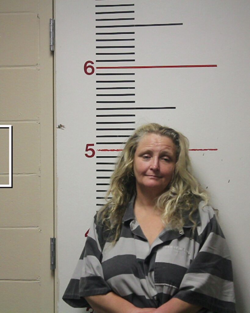 JOHNSTON, CATHERINE ANN arrest record in Anderson County, Texas JOHNSTON, CATHERINE ANN arrested in Anderson County, Texas mugshot
