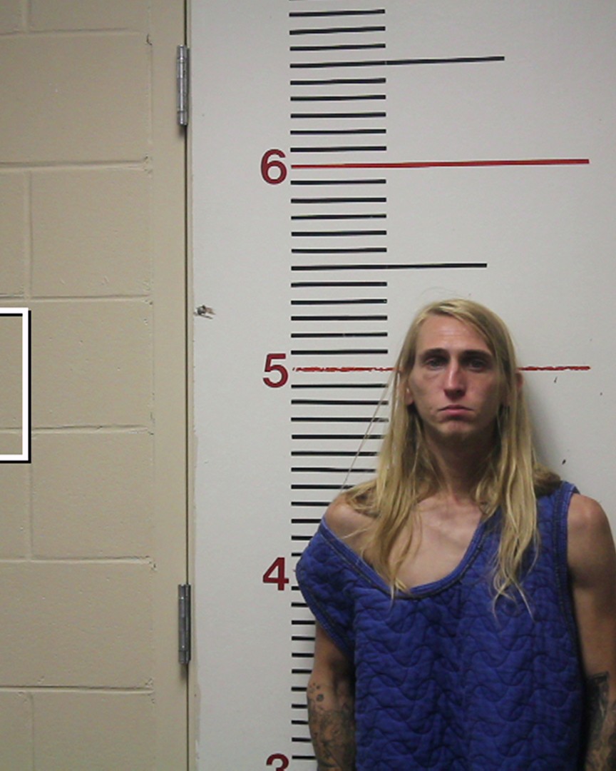 RICHARDSON, NATHANIEL DEAN booking photo