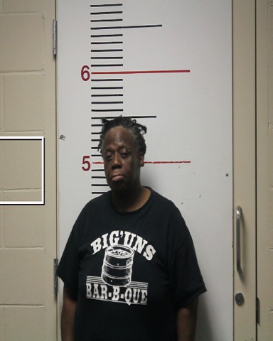 MCDONALD, MATTIE DELORIS booking photo