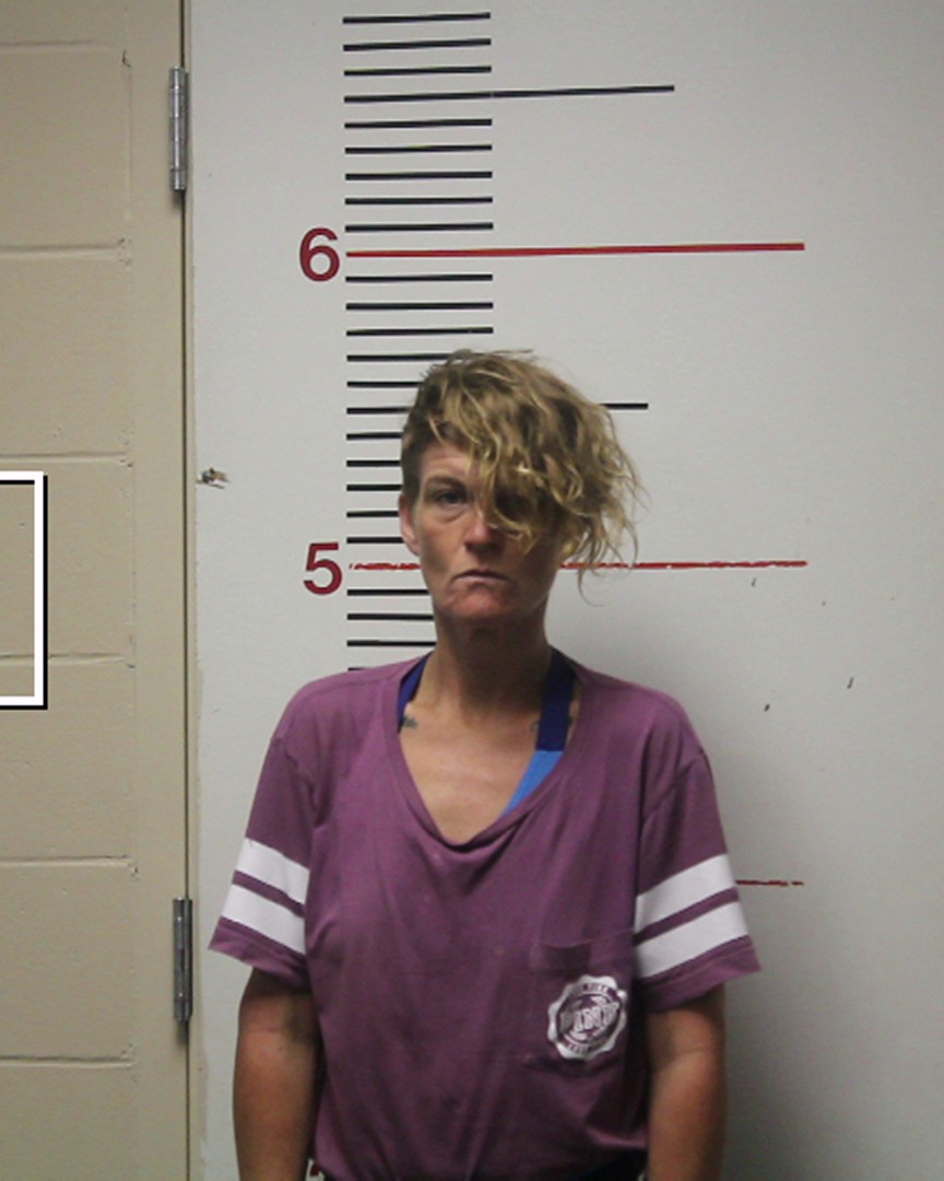 PAROLINI, ASHLEY MICHELE booking photo