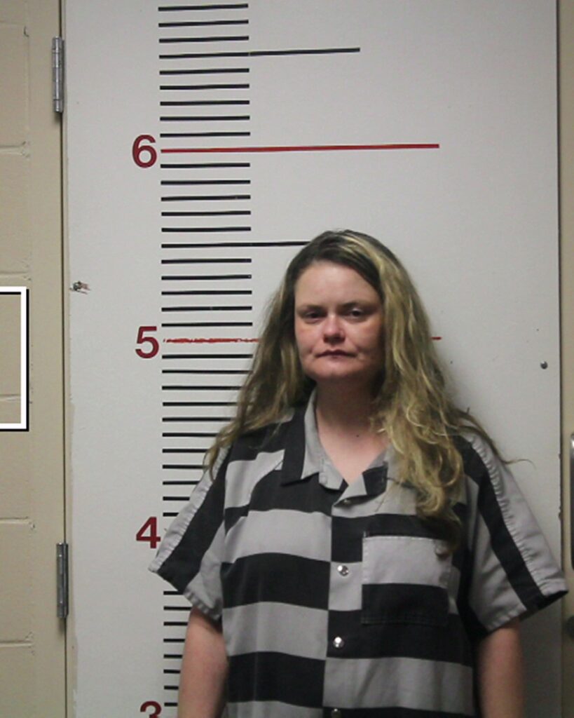 WILLARD, CRYSTAL BROOKE arrest record in Anderson County, Texas WILLARD, CRYSTAL BROOKE arrested in Anderson County, Texas mugshot