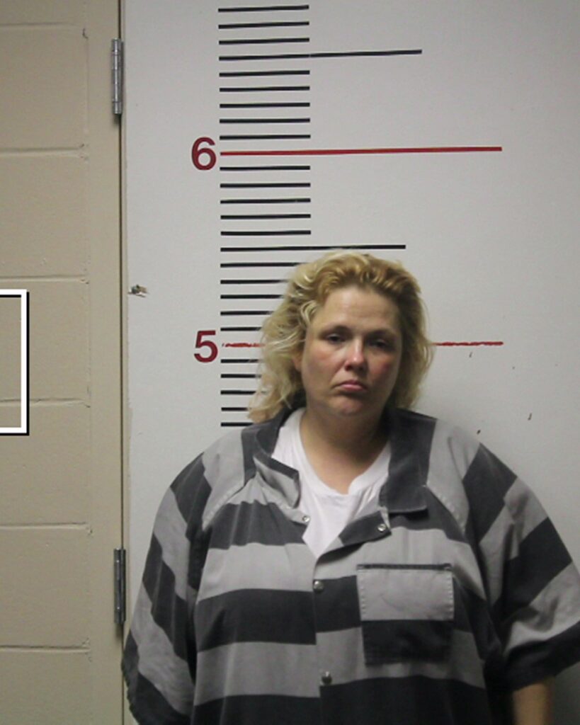 DINE, APRIL LYNN arrested in Anderson County, Texas mugshot