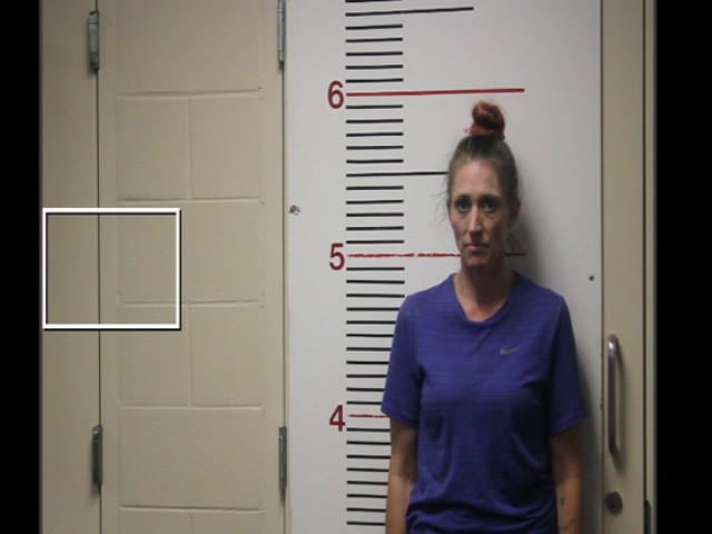 POWELL, VALERIE RENEE booking photo