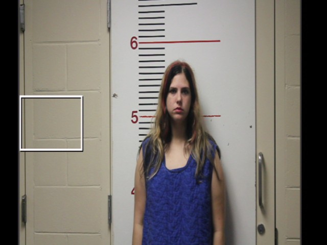 REED, KAREN LYNN booking photo