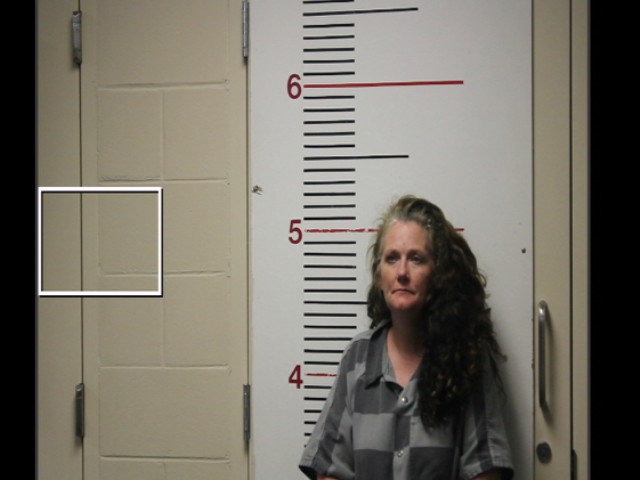 CHEATHAM, ALLISON KAYE booking photo