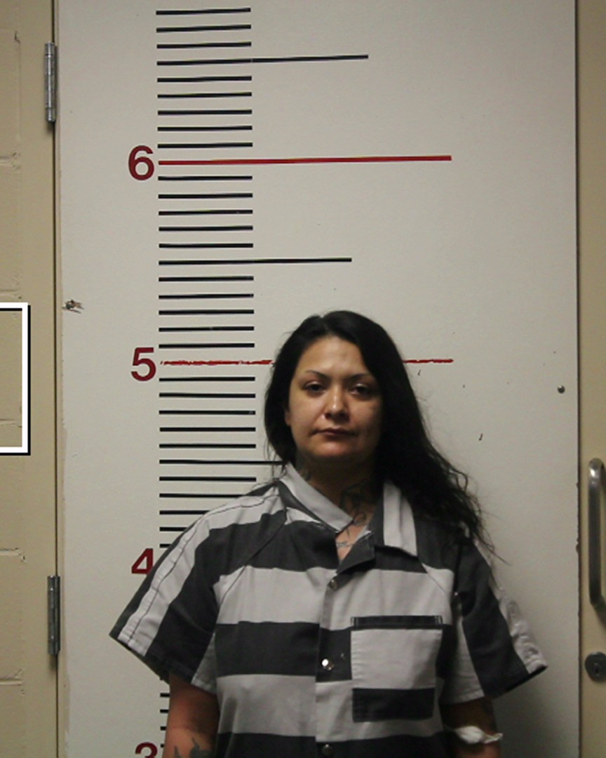 ORTIZ, MELISSA PEARL booking photo