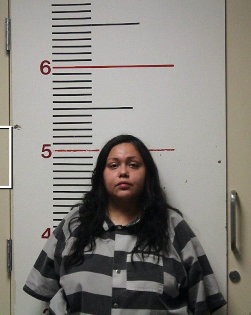 ALVARADO, YESENIA JAQUELINE arrest record in Anderson County, Texas ALVARADO, YESENIA JAQUELINE arrested in Anderson County, Texas mugshot