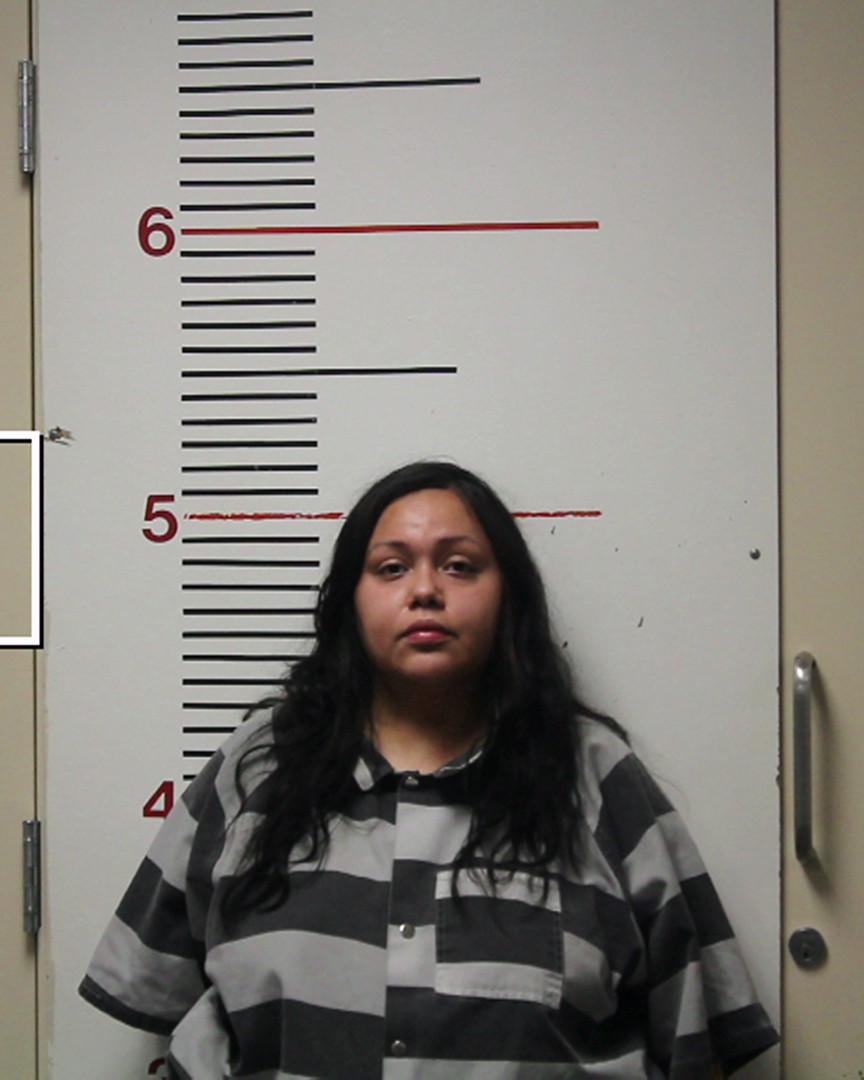 ALVARADO, YESENIA JAQUELINE booking photo