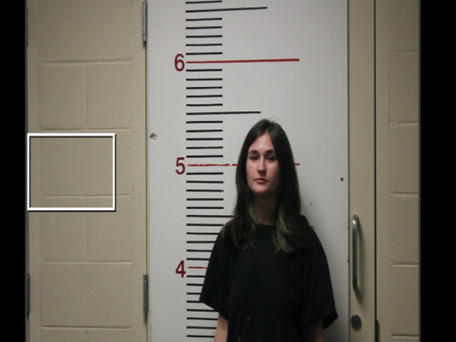 JONES, EMILY REESE booking photo