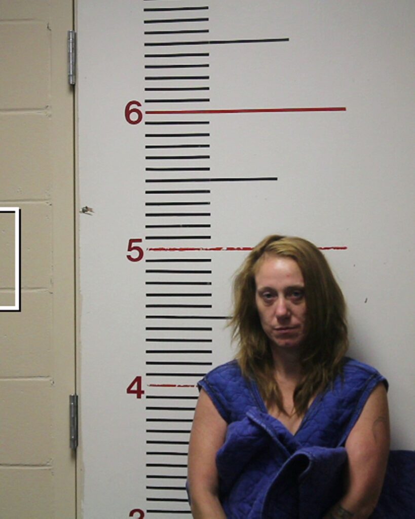 ABSHIRE, LAURA GREEN arrested in Anderson County, Texas mugshot