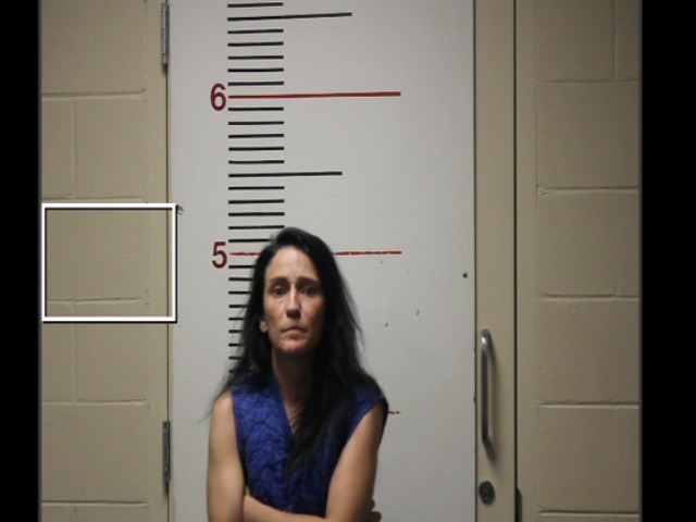 LUCE, ERICA booking photo
