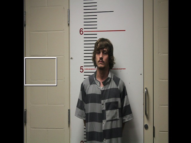 BATTS, BRAYDEN COLE booking photo