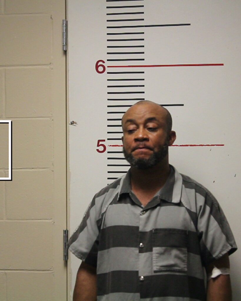 EHIAHURUIKE, SIMON CHINEDU arrested in Anderson County, Texas mugshot