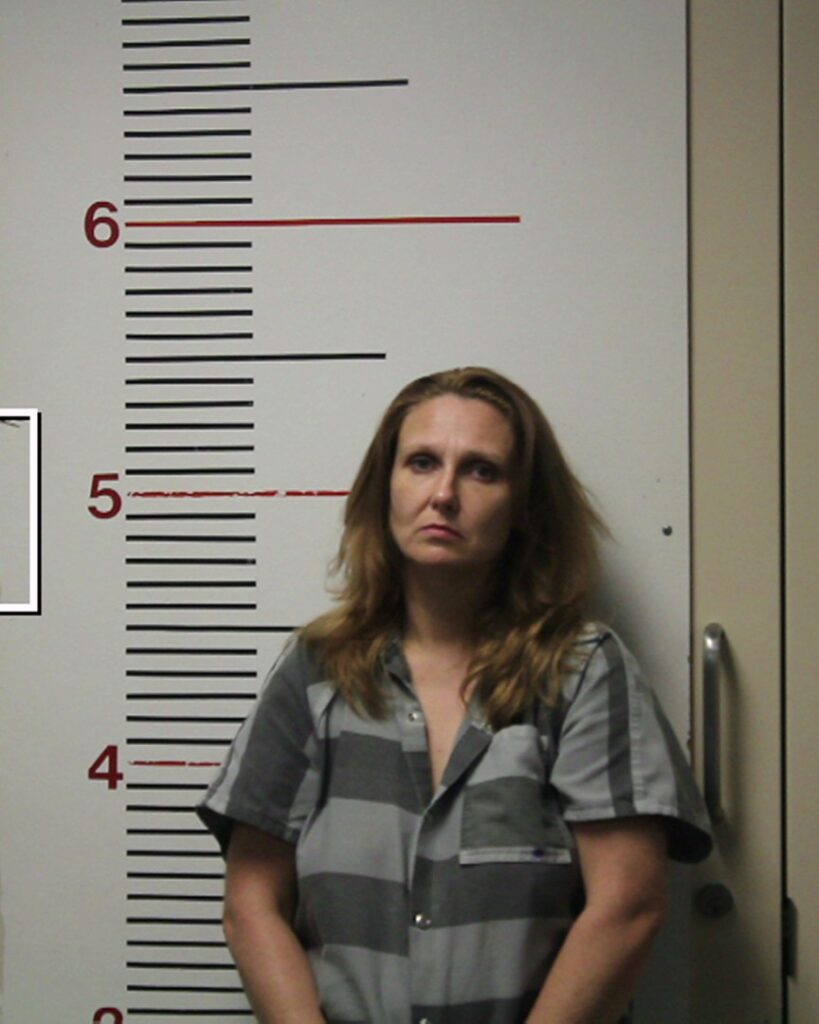 BRINKMAN, CHERYL DENISE arrested in Anderson County, Texas mugshot