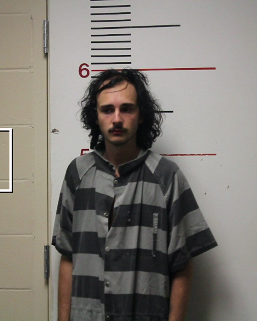 PHILLIP, CHANDLER AUBREY arrested in Anderson County, Texas mugshot