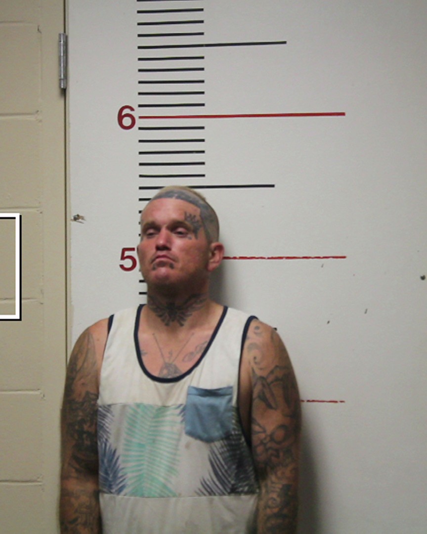 RICHARDSON, BRYAN RAY booking photo