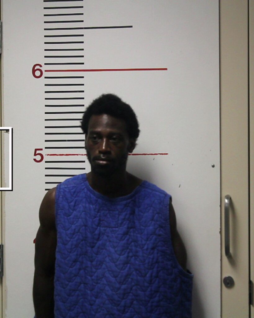 DAVIS, JOVON ANDREW arrested in Anderson County, Texas mugshot