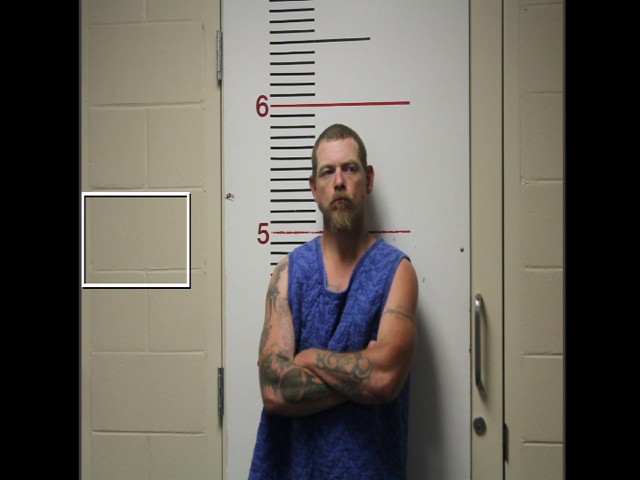 BROWN, JODY COTTON booking photo