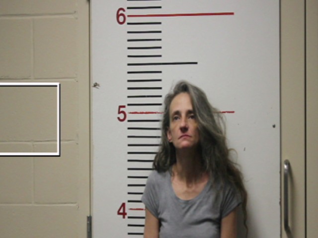 VINCENT, RACHEL MICHELLE booking photo