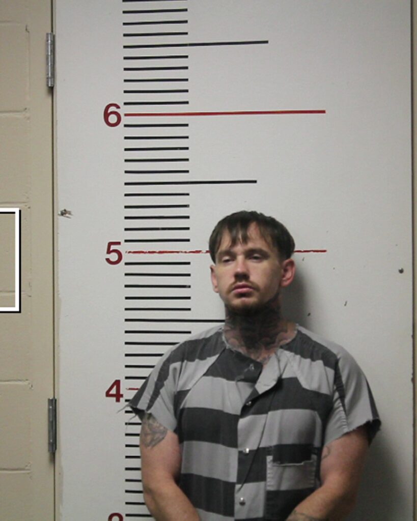 THOMPSON, JAMES ROBERT, Jr. arrested in Anderson County, Texas mugshot