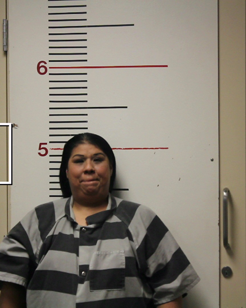 GARZA, TRACI DIANE booking photo