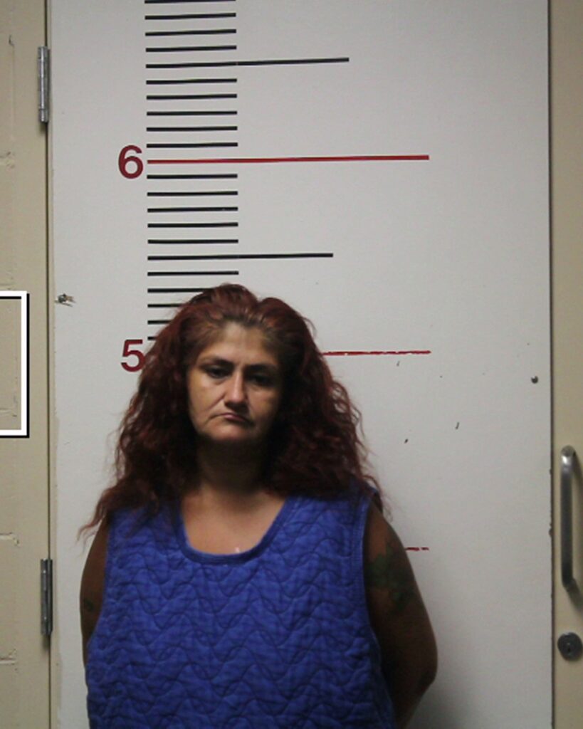 HERNANDEZ, VALENTINA arrest record in Anderson County, Texas HERNANDEZ, VALENTINA arrested in Anderson County, Texas mugshot