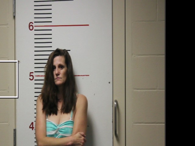 COLLINS, SARAH MELISSA booking photo