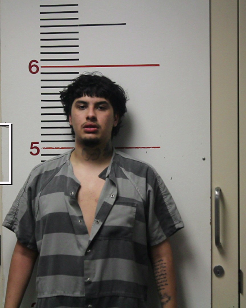 SALINAS, DAMIAN OMAR booking photo