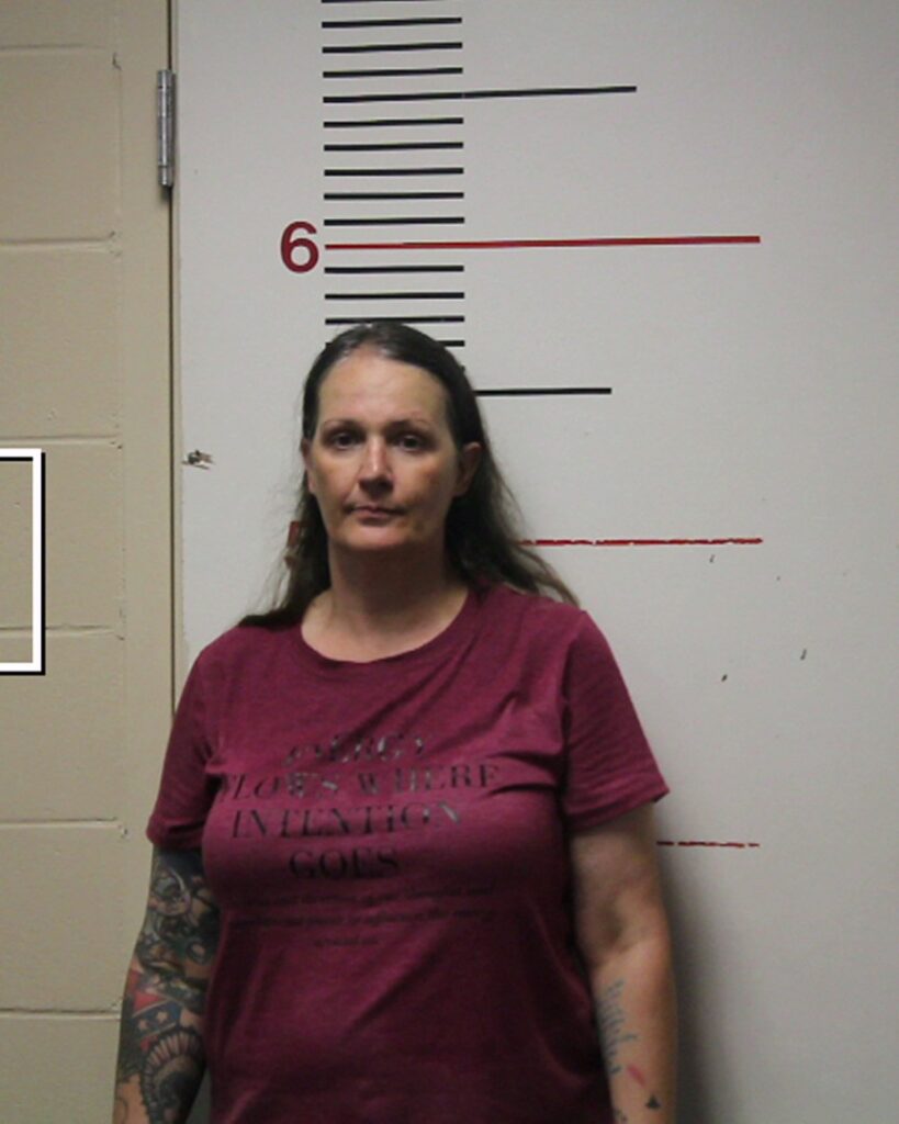 STANSBERRY, DANNYE JOLENE arrested in Anderson County, Texas mugshot