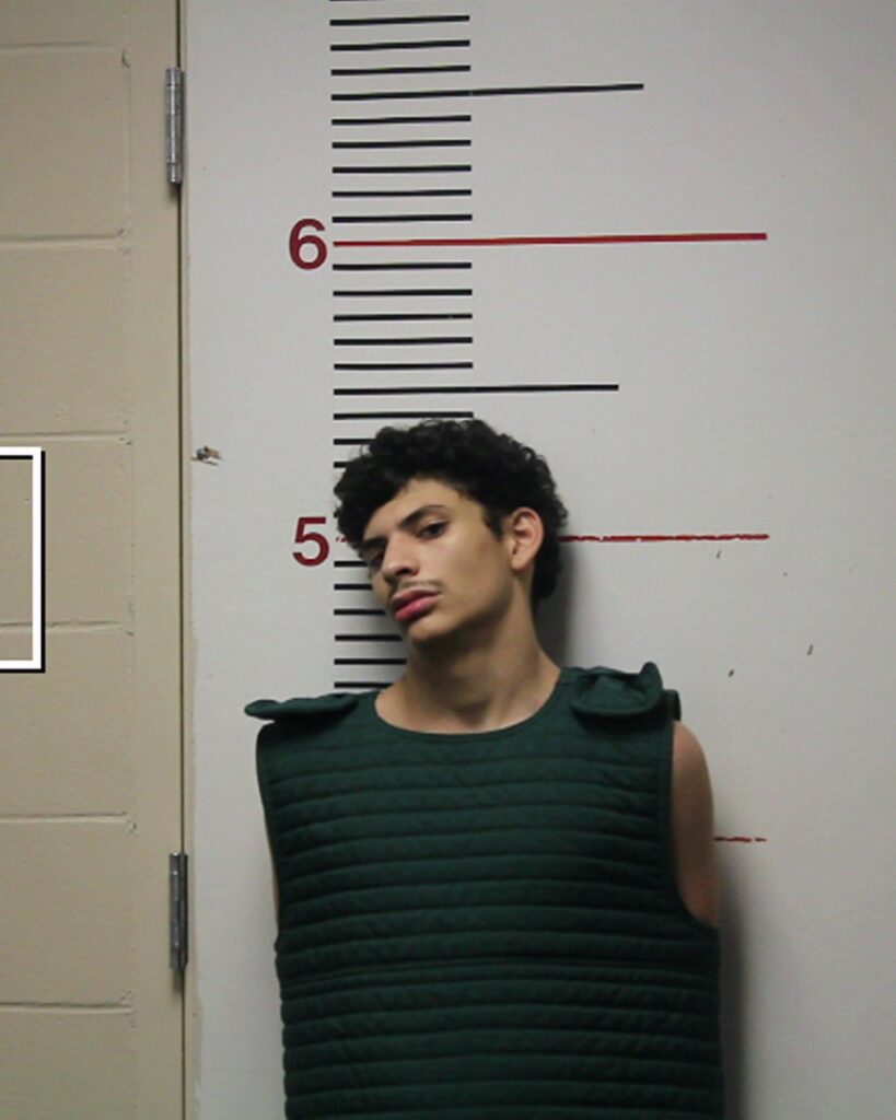 SIMIEN, DAIMEAN JON arrest record in Anderson County, Texas SIMIEN, DAIMEAN JON arrested in Anderson County, Texas mugshot