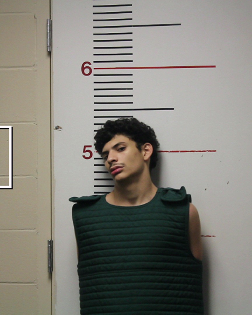 SIMIEN, DAIMEAN JON booking photo