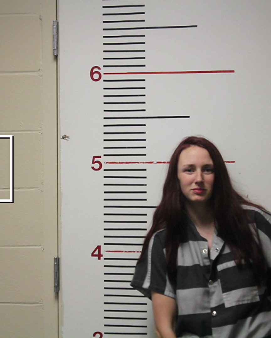 TEEMS, BRILEY SUE booking photo