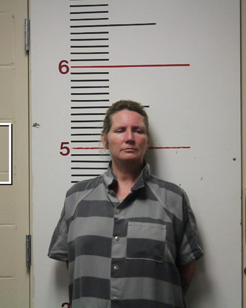 MCDADE, SHELLEY RENEE arrested in Anderson County, Texas mugshot