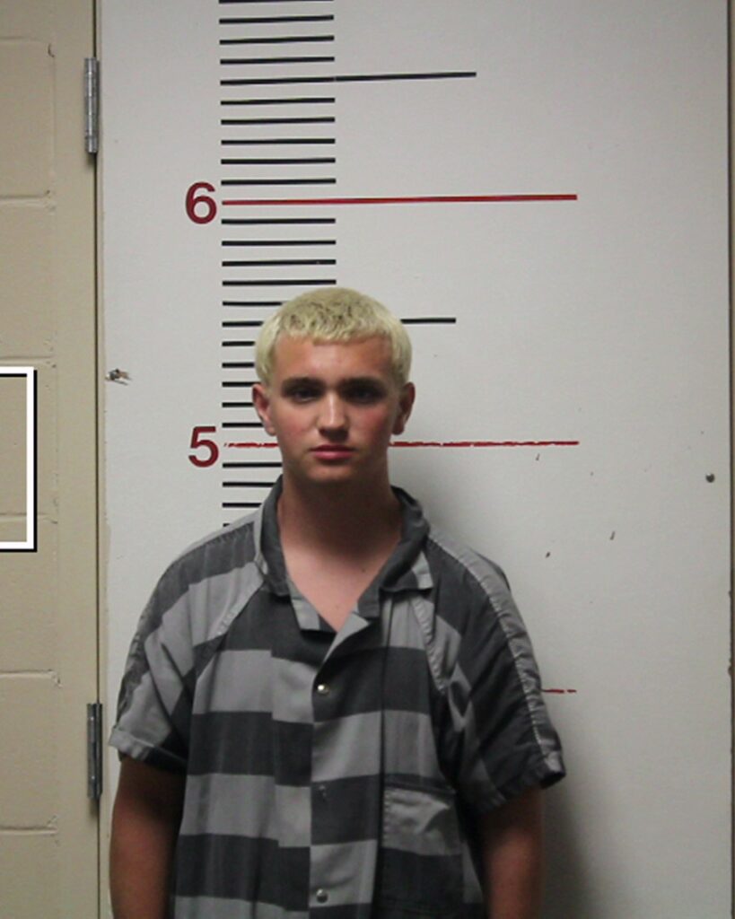 SORRELLS, ANDREW arrest record in Anderson County, Texas SORRELLS, ANDREW arrested in Anderson County, Texas mugshot