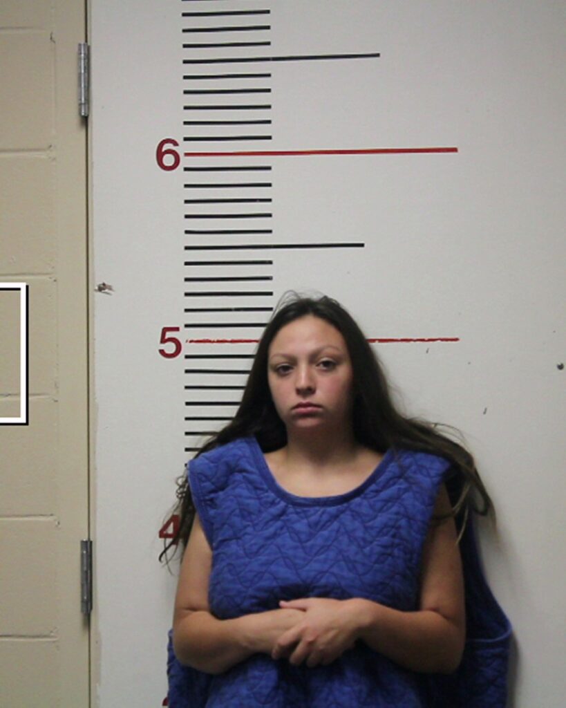 LARA, ALEXANDRIA GRACE arrested in Anderson County, Texas mugshot