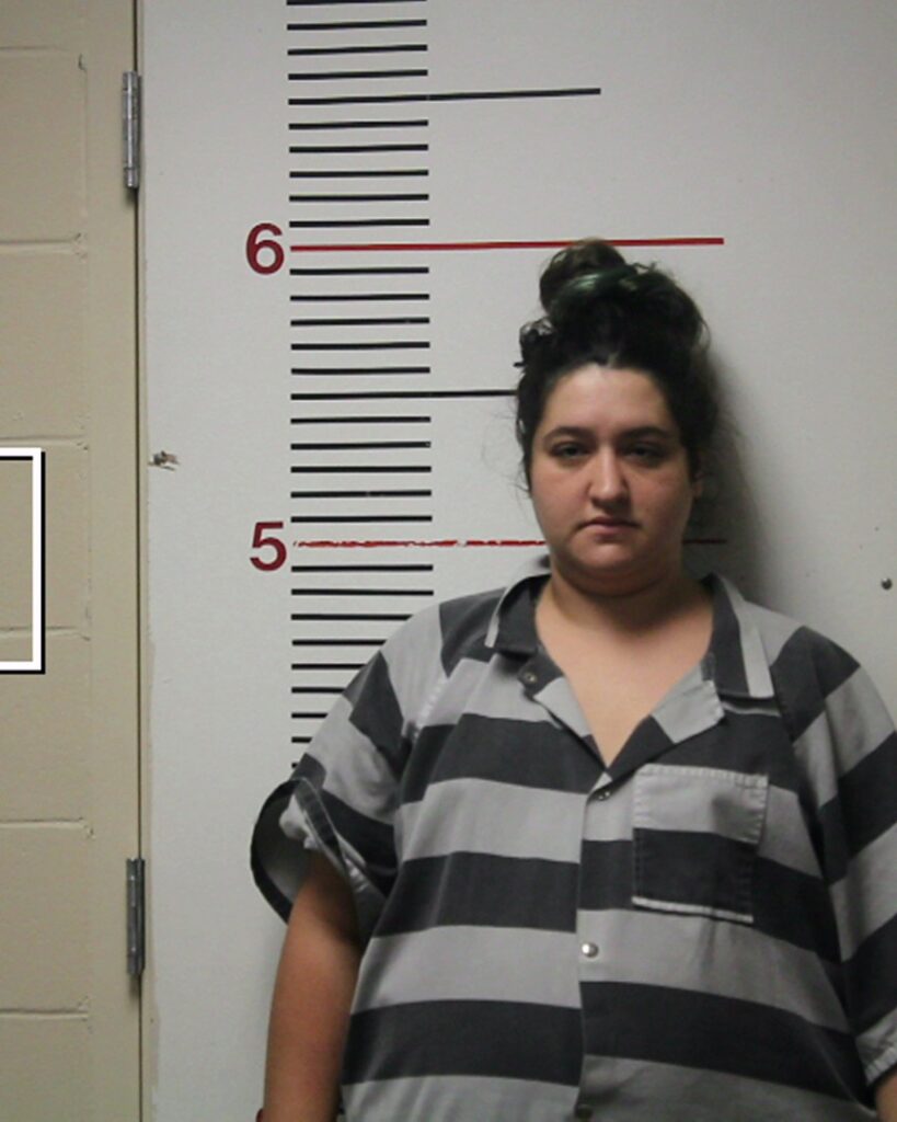 HOLMES, KAITLIN YVETTE arrest record in Anderson County, Texas HOLMES, KAITLIN YVETTE arrested in Anderson County, Texas mugshot
