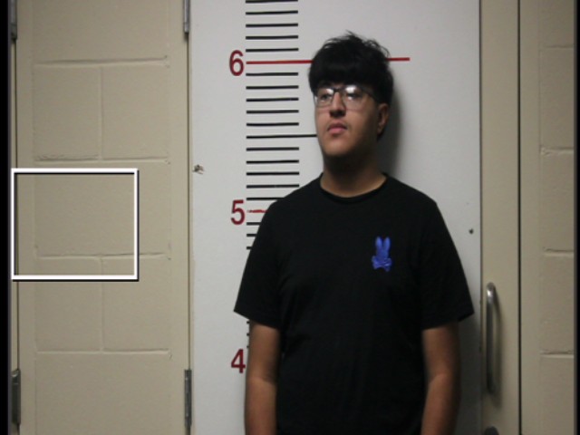 PEREZ, JAYDEN SAUL booking photo