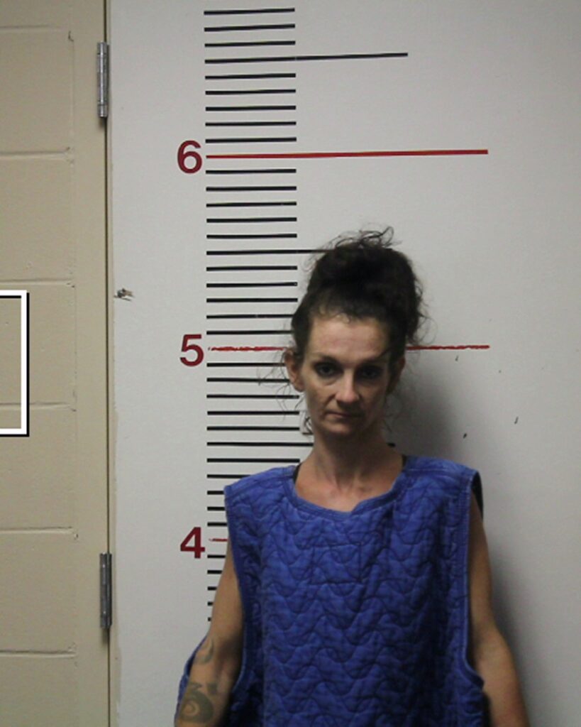 THOMPSON, KATHERYN MICHELLE arrest record in Anderson County, Texas THOMPSON, KATHERYN MICHELLE arrested in Anderson County, Texas mugshot