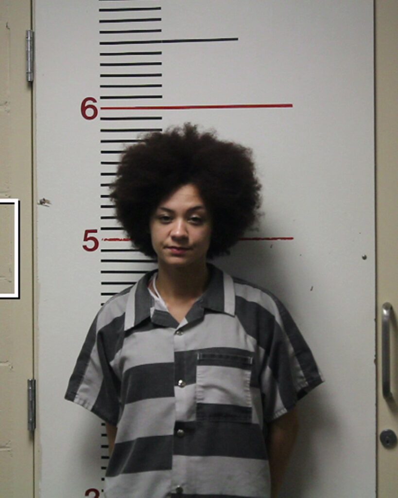 COLLINS, BREONNA DANYALE arrested in Anderson County, Texas mugshot