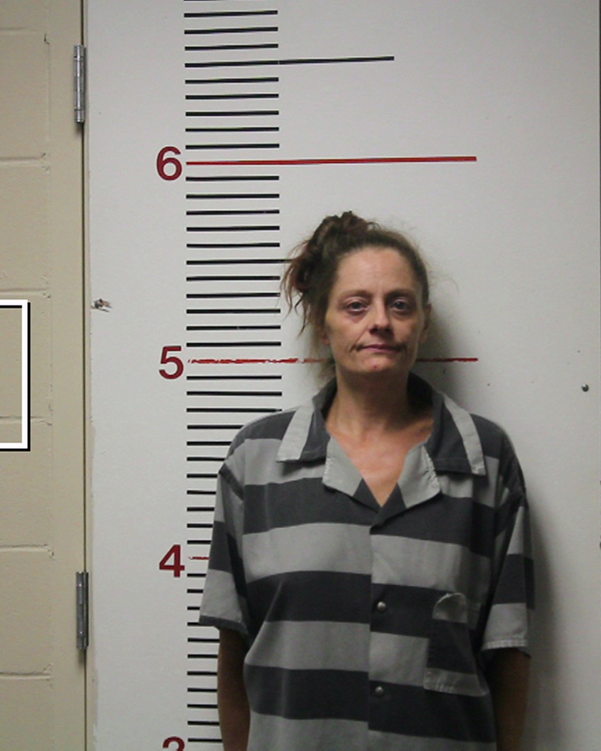 COLLINS, BREA ANNE booking photo