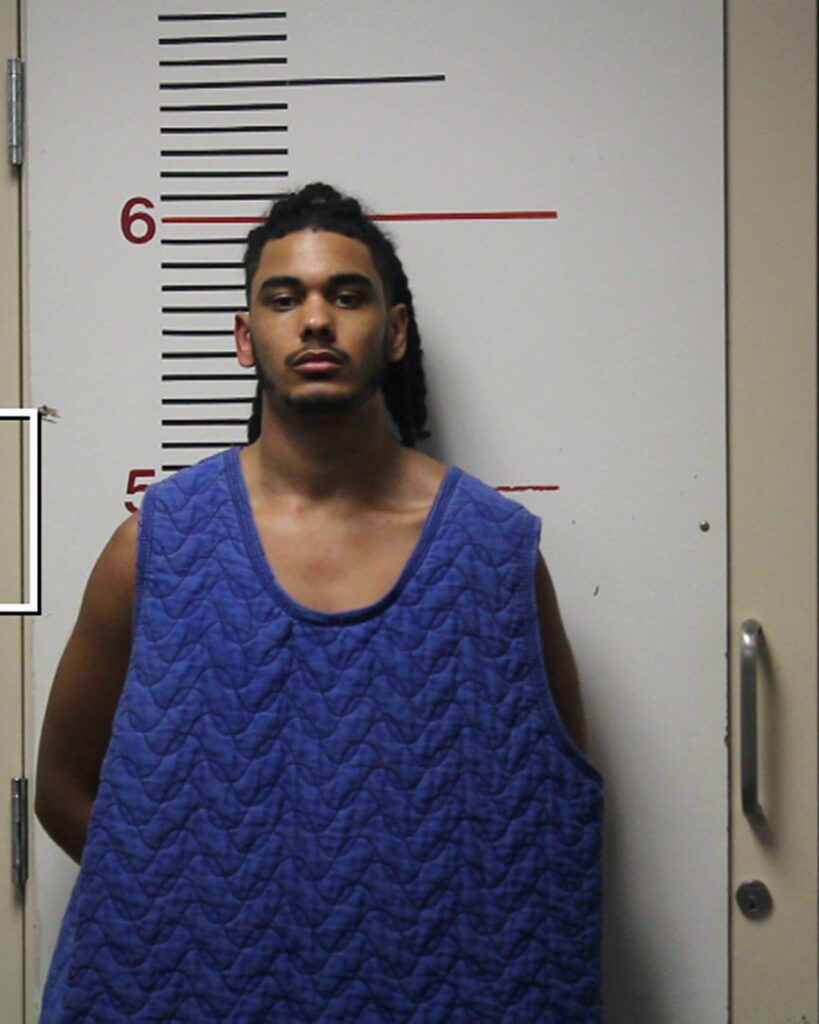 JOHNSON, CYRUS MASON arrested in Anderson County, Texas mugshot