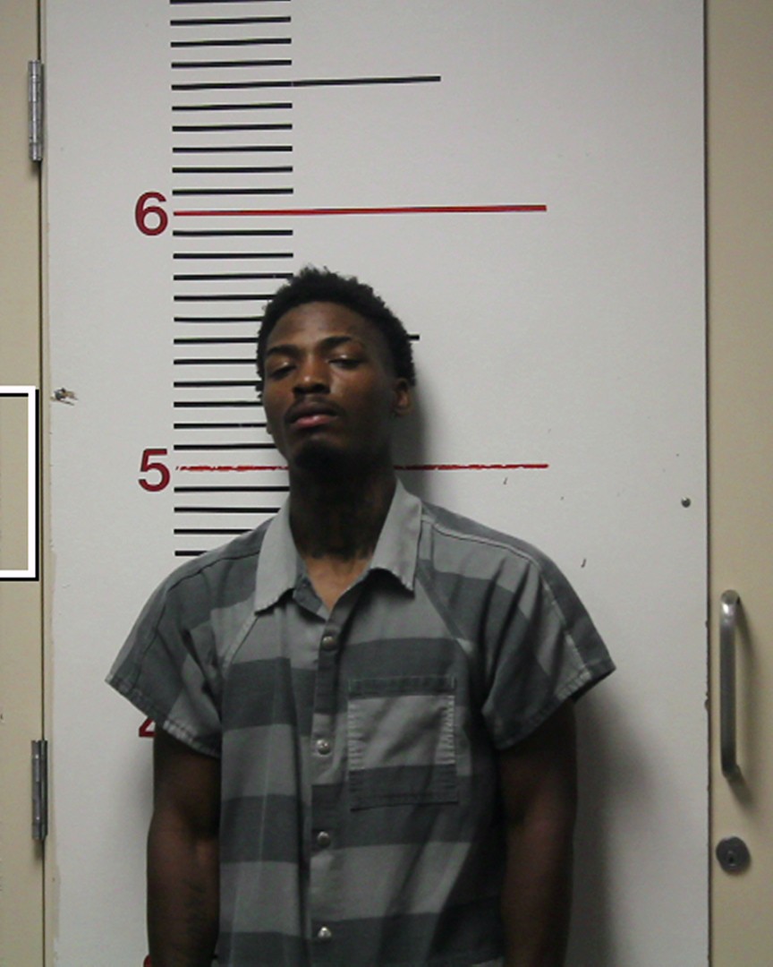 GARDNER, TRISHTOHN MAR'CEL booking photo