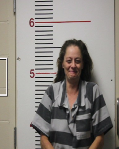 COLLINS, BREA ANNE booking photo