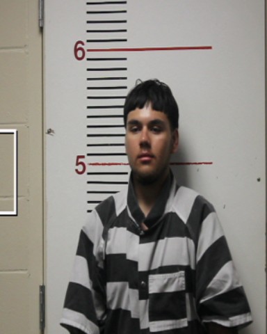 DESANTIAGO, RONALDO booking photo